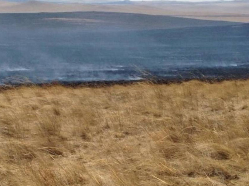 Дорнод, Хэнтий аймагт гарсан 3 хээрийн түймрийг унтраахаар ажиллаж байна